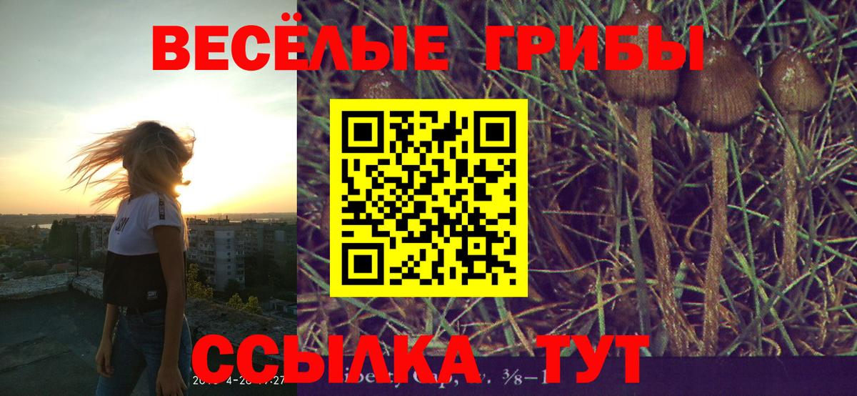 Псилоцибиновые грибы прущие грибы  Псилоцибиновые грибы Cubensis  Звенигород  Вход с VPN 